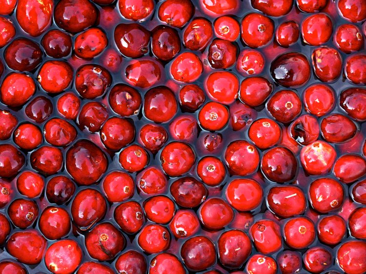 28 sự thật thú vị về thực phẩm có thể bạn chưa biết 28 sự thật thú vị về thực phẩm có thể bạn chưa biết