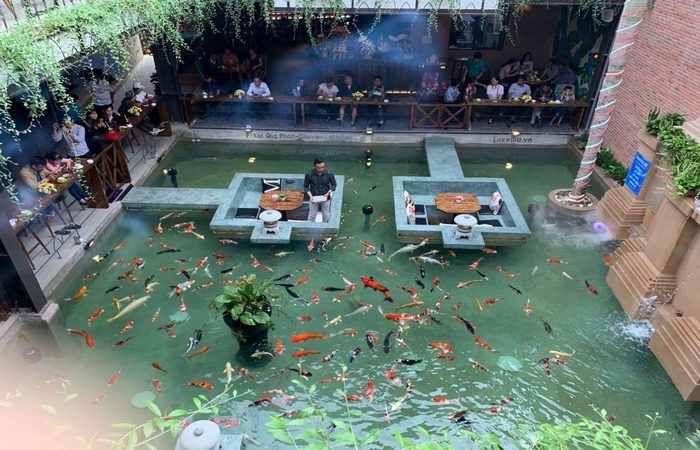 kinh nghiệm mở quán cafe cá Koi