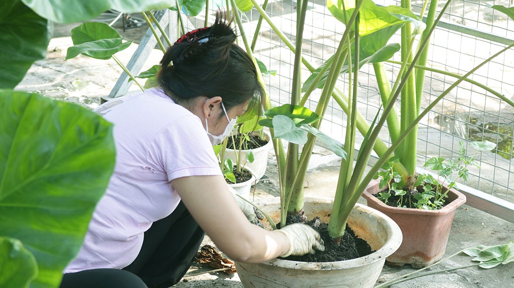 ‘Mắc kẹt’ giữa Sài Gòn thời Covid-19: Quán bún 3 tỉ giờ thanh lý đồ đạc để bù lỗ